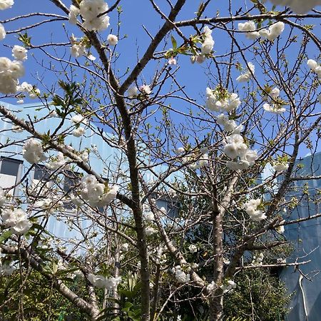 Narita Airport Samurai Hostel Kujukuri Экстерьер фото